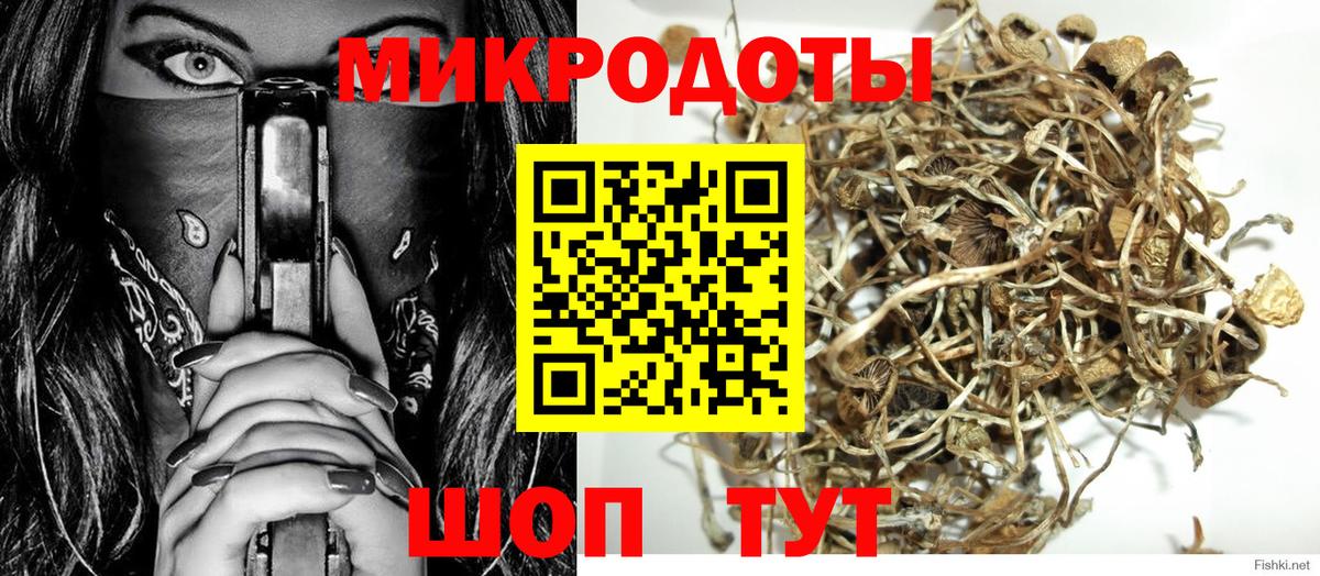 где купить наркотик  Псилоцибиновые грибы ЛСД  Вход с VPN  Сургут  Псилоцибиновые грибы Magic Shrooms 